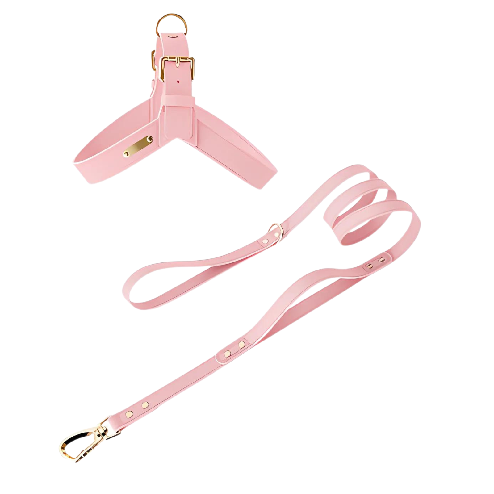 Premium Leather No-Pull Dog Harness Kit