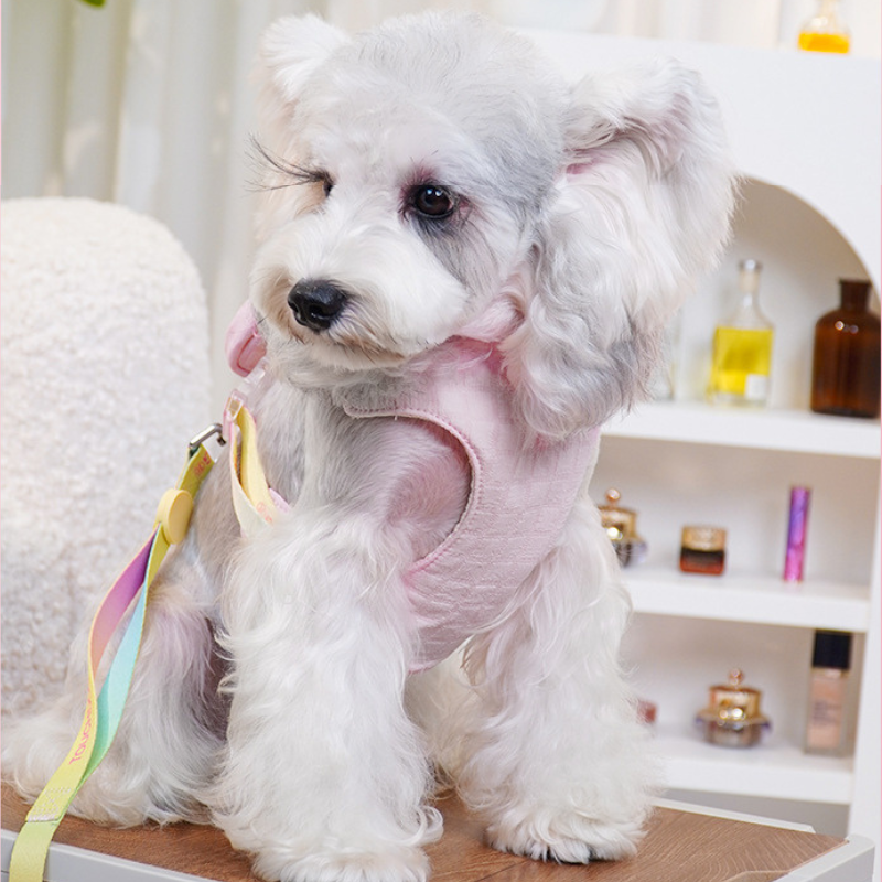 ButterPup Harness Kit