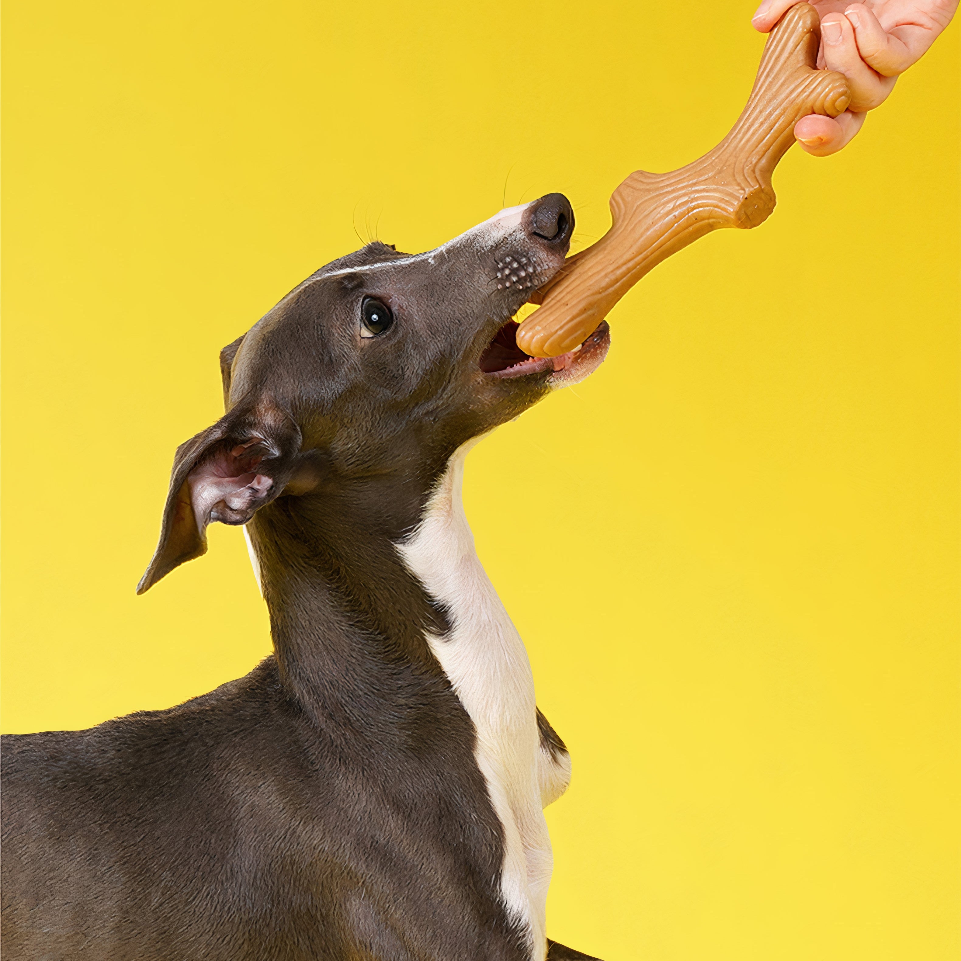 Natural Dog Chew Toy – Safe, Durable & Dental-Friendly