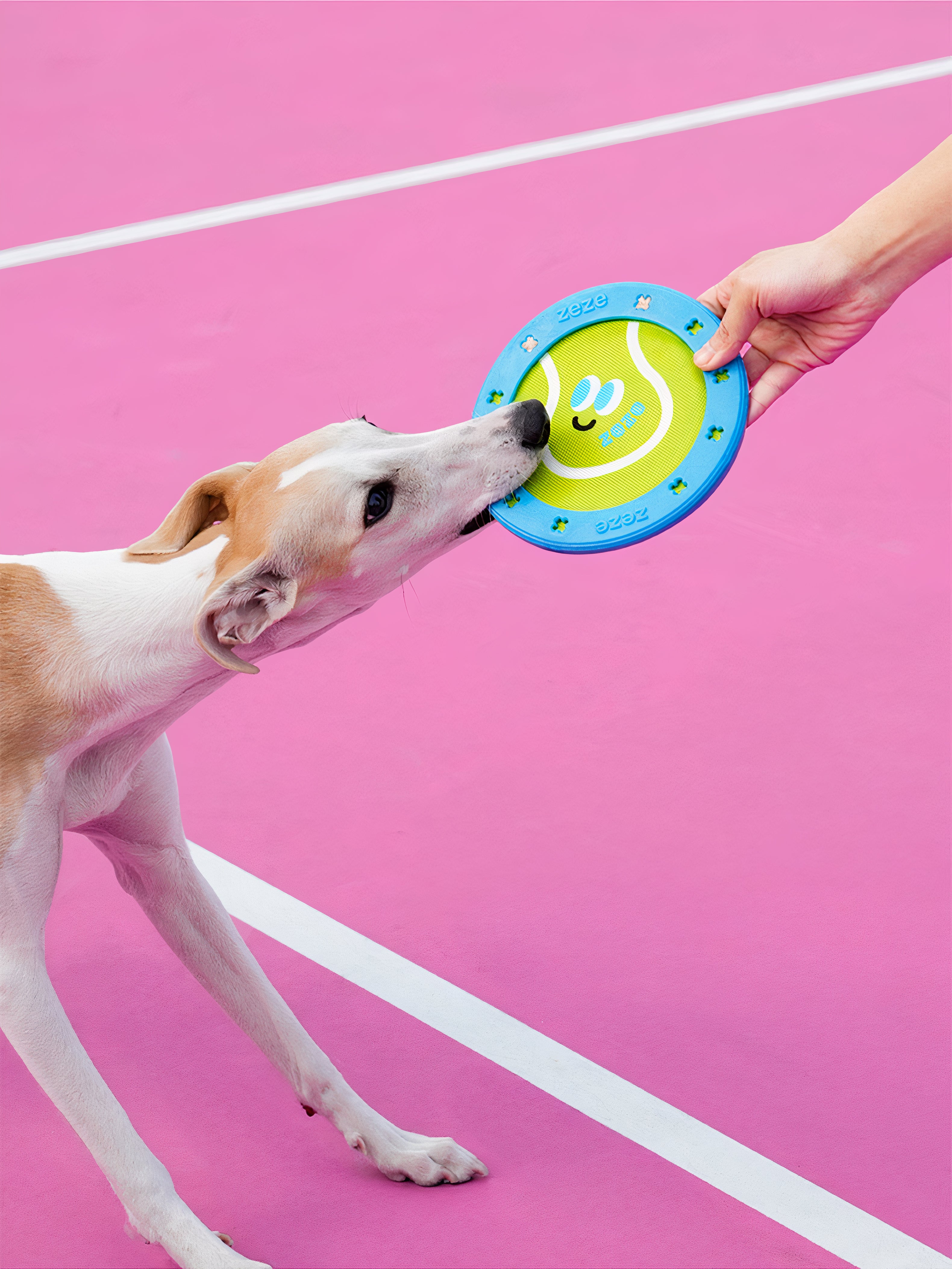 TPR Rubber Dog Frisbee with Treat Slot