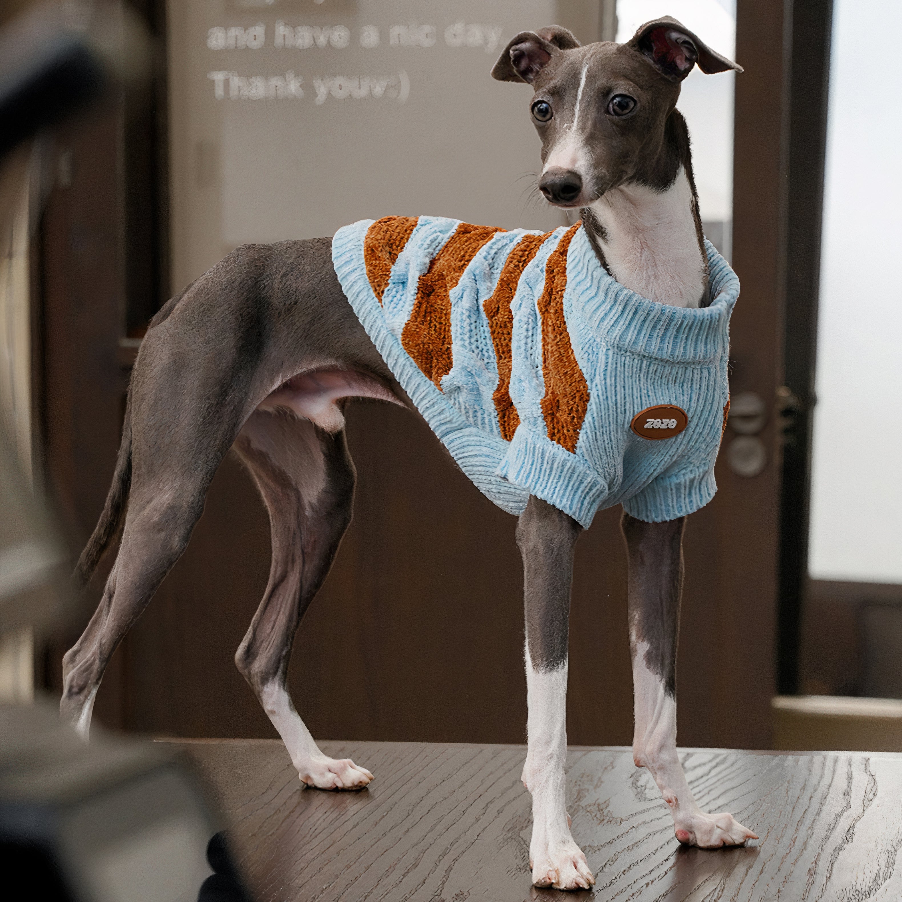 Cozy Chenille Striped Pet Sweater