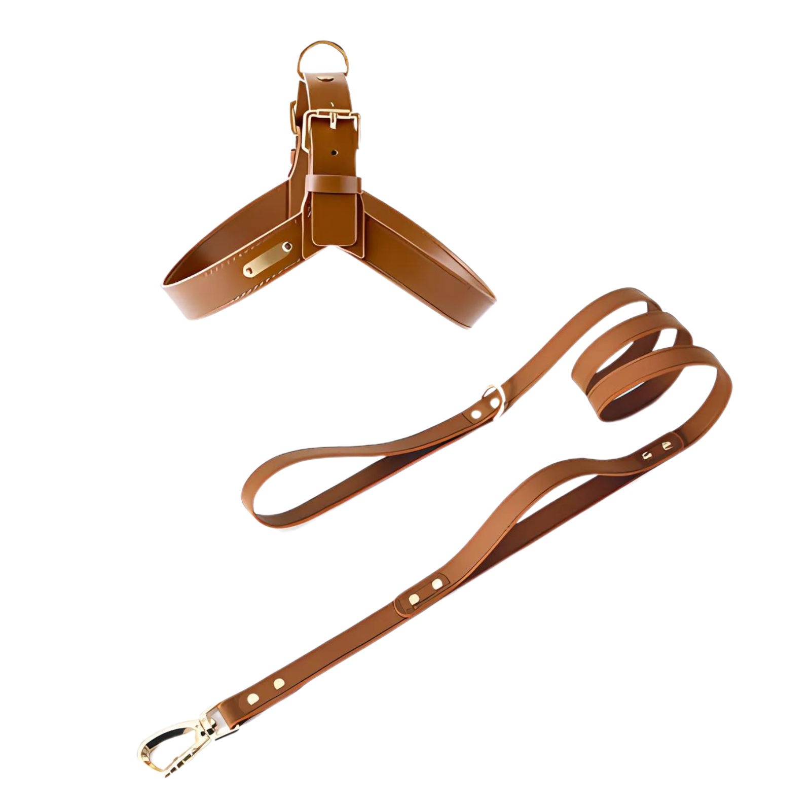 Pet Walk Kit