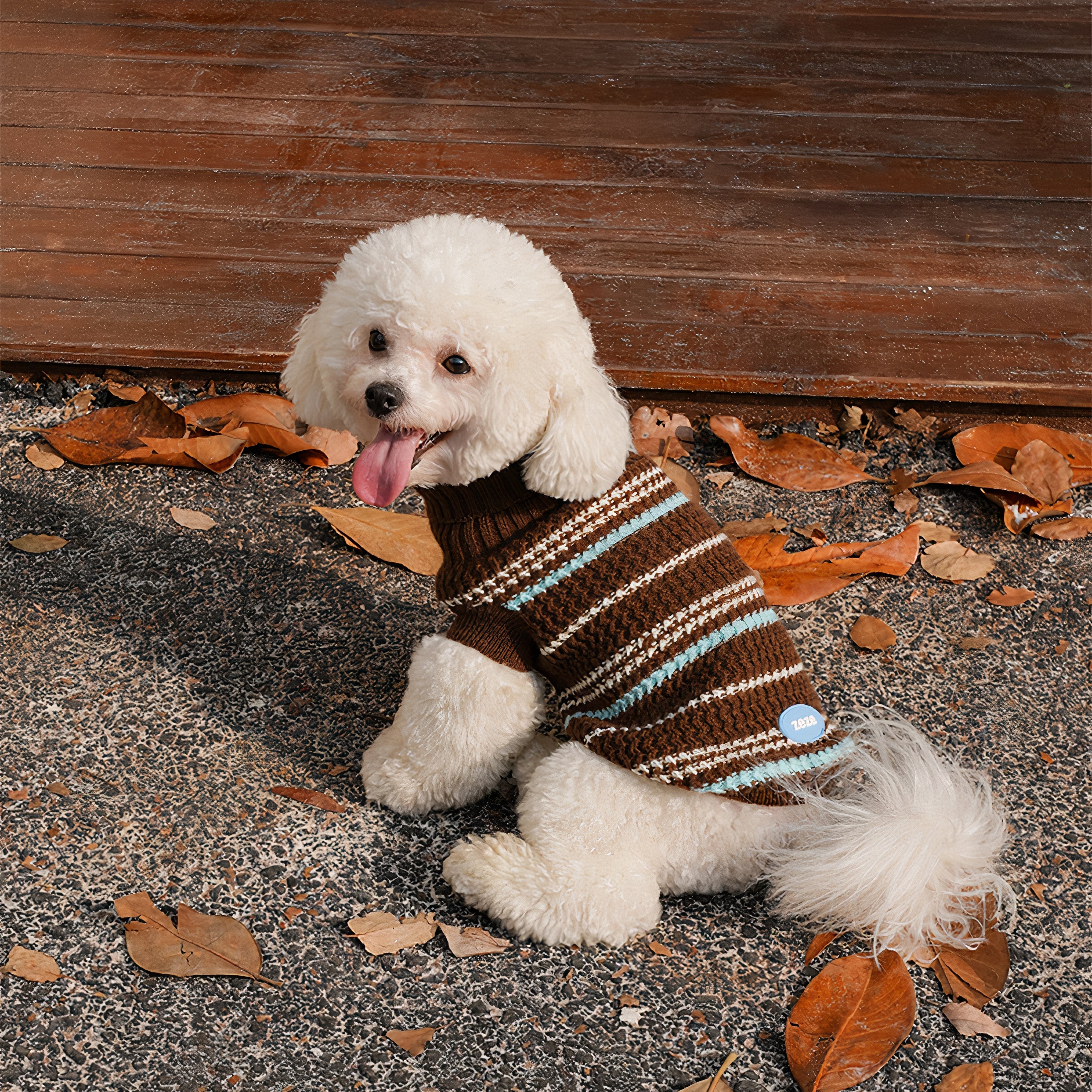 Pet Wear