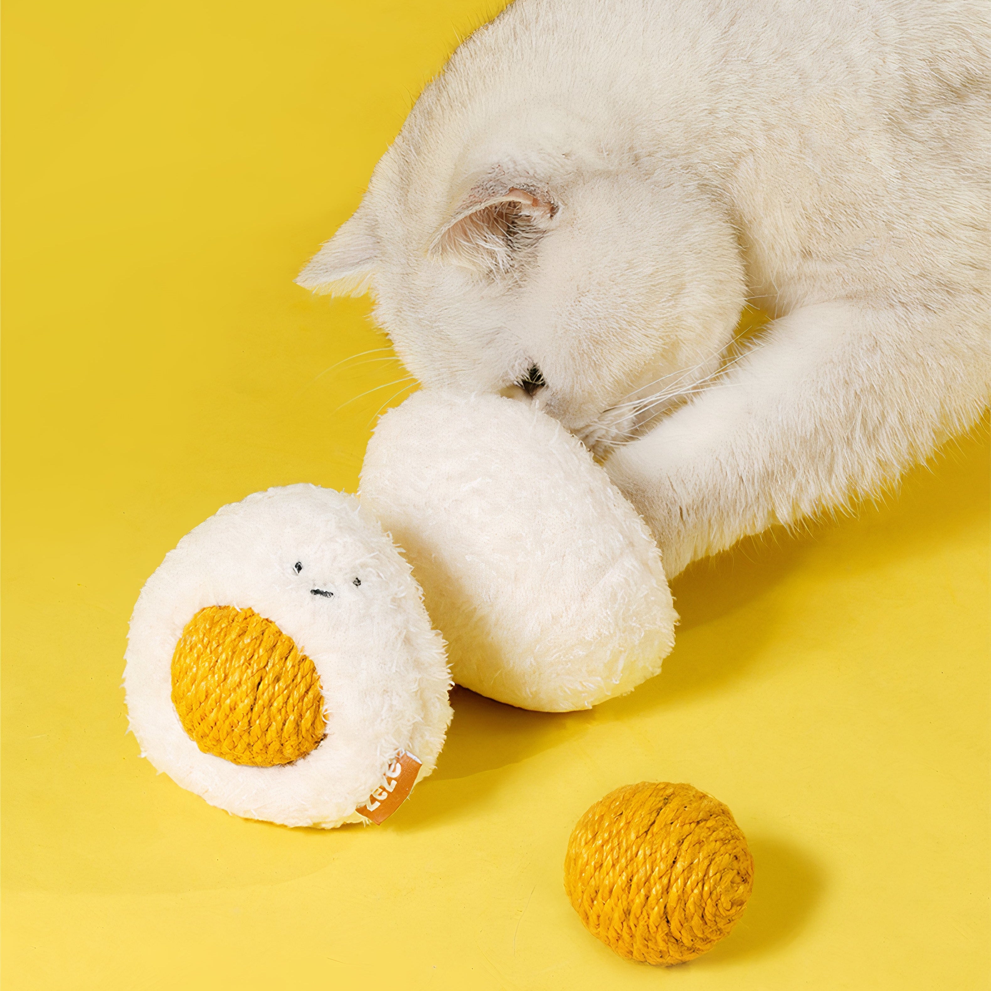 Pet Toys