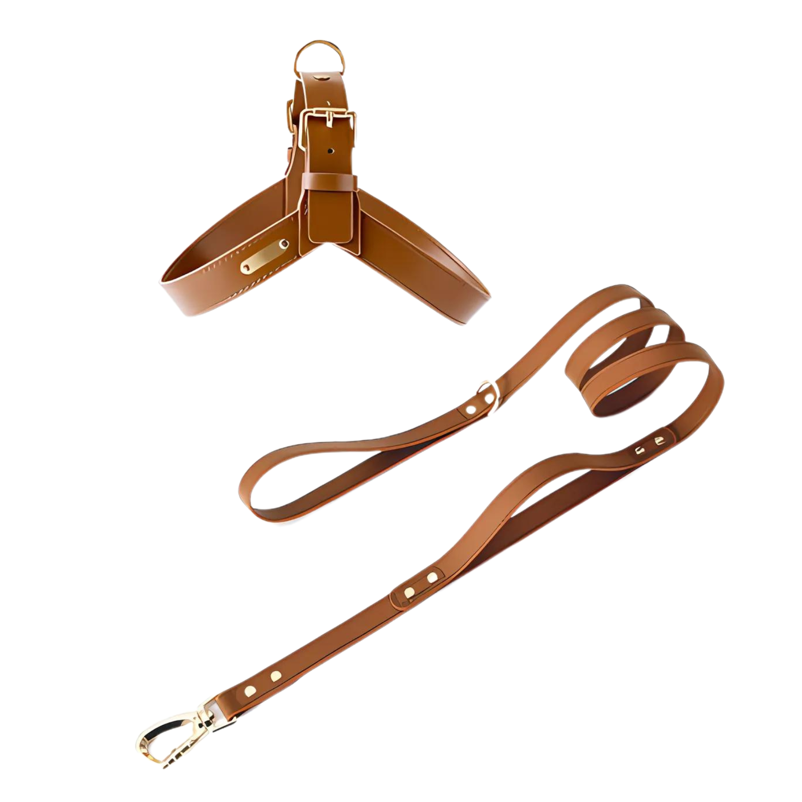 Premium Leather No-Pull Dog Harness Kit