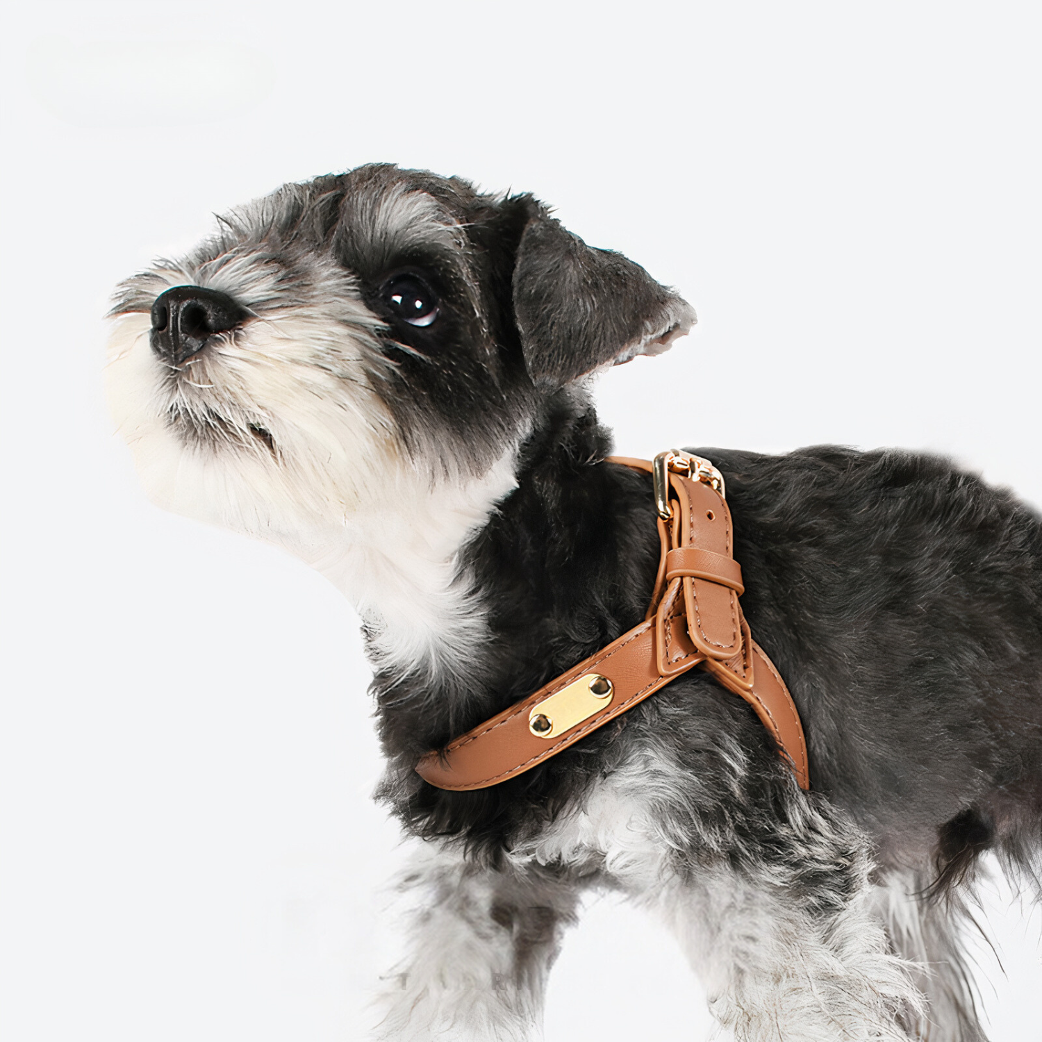 Premium Leather No-Pull Dog Harness Kit